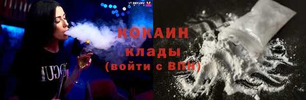 шишки Гусев