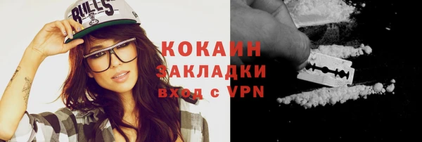 шишки Гусев