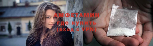 шишки Гусев