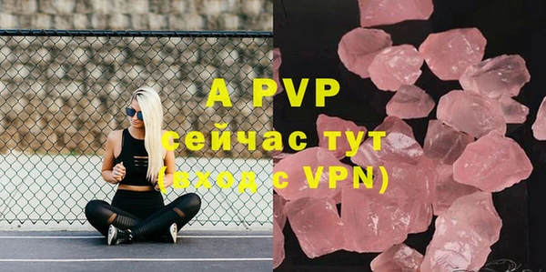 шишки Гусев