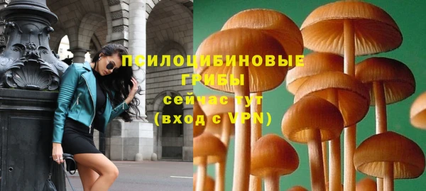 трава Гусь-Хрустальный