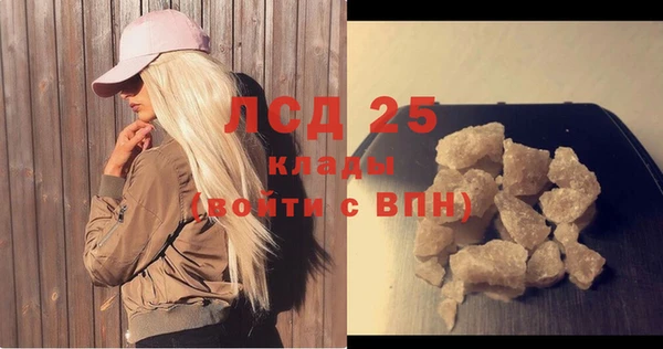 шишки Гусев