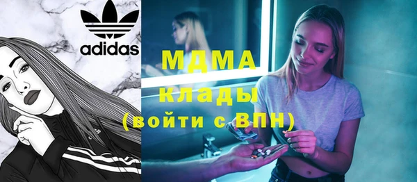 шишки Гусев