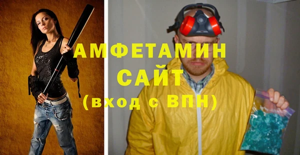 шишки Гусев
