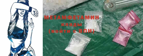 шишки Гусев